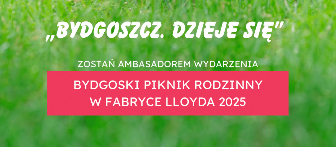 Bydgoski Piknik Rodzinny w Fabryce Lloyda